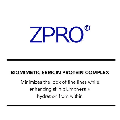 ZPRO_Eng